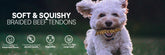 Poodle running with Raw Dog braided beef tendon chew treat